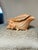 This is a glossy ceramic planter or decorative vessel shaped like a conch shell. It features a soft peach-to-cream glaze...
