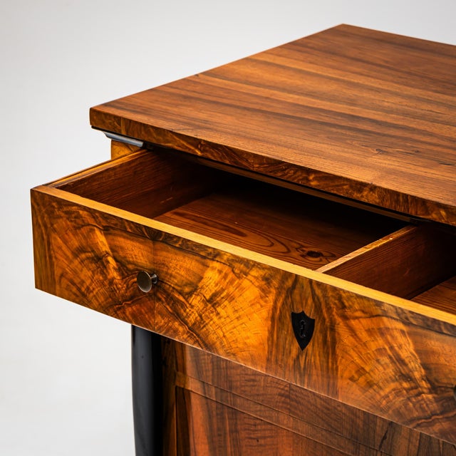 Biedermeier Chest of Drawers, Franconia, 1820s For Sale - Image 5 of 11