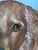 Dog Portraits, Oil Paintings, Set of 2 For Sale - Image 11 of 15
