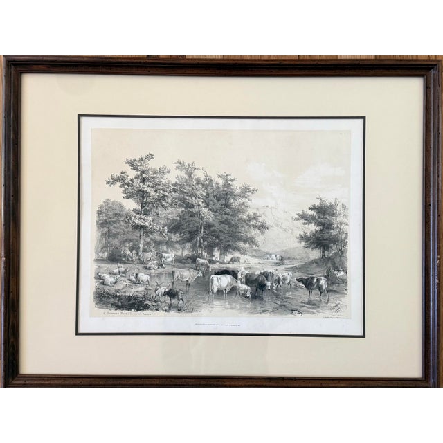 1837 lithograph by TS Cooper titled “A Summers Noon Thompson's Seasons” published by Thomas McLean. Pint features cattle...