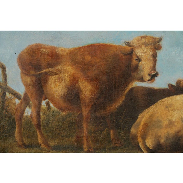 Antique European School Oil Painting, Cattle Grazing For Sale - Image 12 of 18