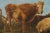 Antique European School Oil Painting, Cattle Grazing For Sale - Image 12 of 18