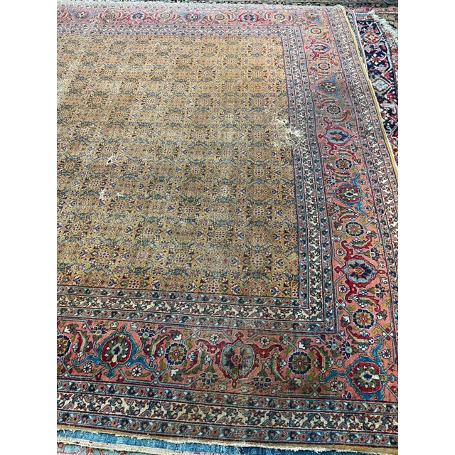 Circa 1930's Rug with Mustard Saffron & Salmon Colors 9.3. X 12.3 For Sale In Milwaukee - Image 6 of 13