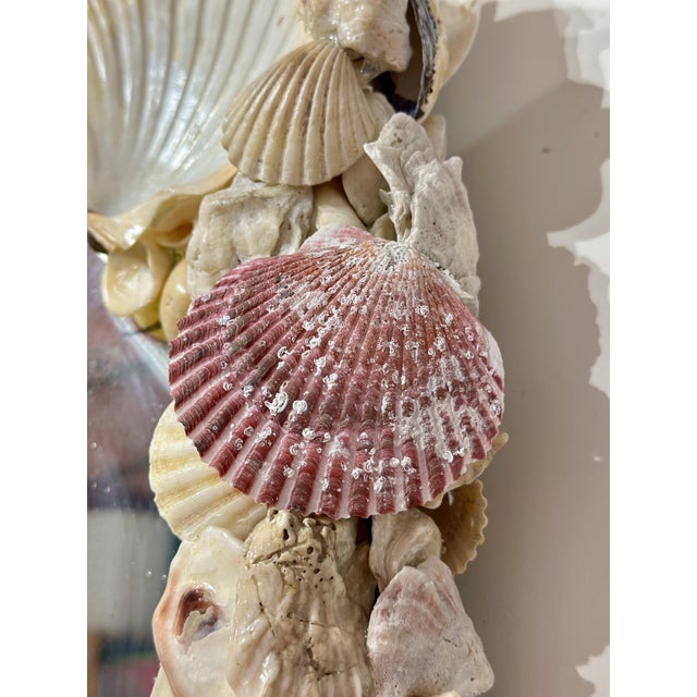 Cream Antique Seashell Wall Mirror For Sale - Image 8 of 10