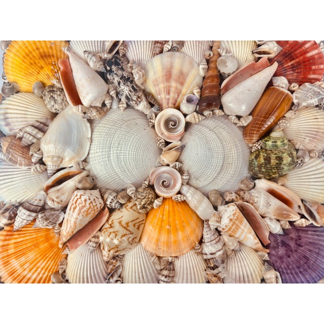 Large Multi Colored Natural Sea Shell Covered Box-Hinged For Sale - Image 4 of 10