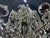 Transparent 19th Century Italian Crystal Chandelier For Sale - Image 8 of 12