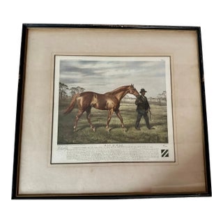 Franklin B. Voss Horse Print "Man O' War" (Signed) For Sale