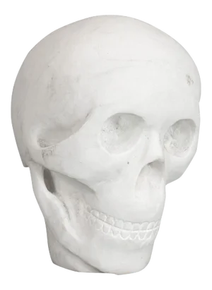 20th Century Marble Carved Decorative Skull