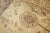 Late 20th Century Palace Size Pishawar Rug - 15'1" x 24'5" For Sale - Image 10 of 13