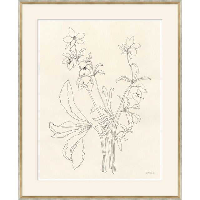 Contemporary Helebore Study I Framed Art Print by Susan Hable For Sale - Image 3 of 3