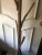 Do you have a rustic home or a log cabin or just want the unusual? This coat rack is very sturdy and holds many coats,...
