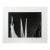 Mariana Yampolsky "Maguey Capado" Lithographic Photo Print Limited 29 of 250 Signed For Sale