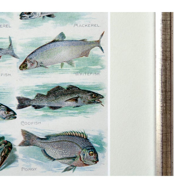 Early 20th Century Custom Framed Encyclopedia Illustration For Sale - Image 5 of 7