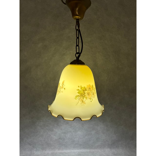 Vintage Floral Glass Pendant Lamp, Italy, 1970s For Sale - Image 9 of 10