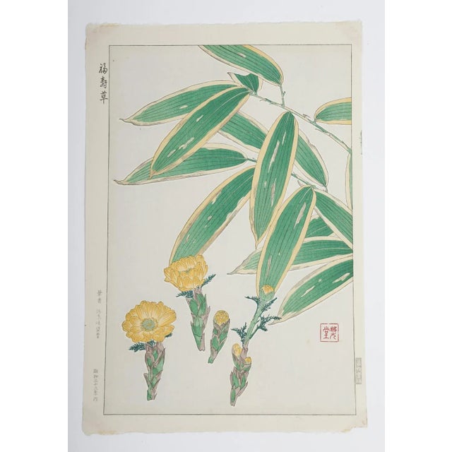 1950s Vintage 1950's Japanese Woodblock Kawarazaki Shodoo Botanical Print For Sale - Image 5 of 8