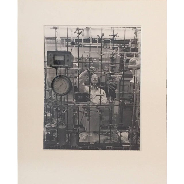 Jacalyn Diane Kalmes, Northwestern University, College of Arts, Chemistry, 1980 For Sale