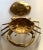 Mid 19th Century English Brass Lidded Crab Box For Sale - Image 12 of 13