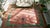 1920s Chinese Art Deco Carpet ( 8' x 9'6'' - 245 x 290 ) For Sale - Image 13 of 15