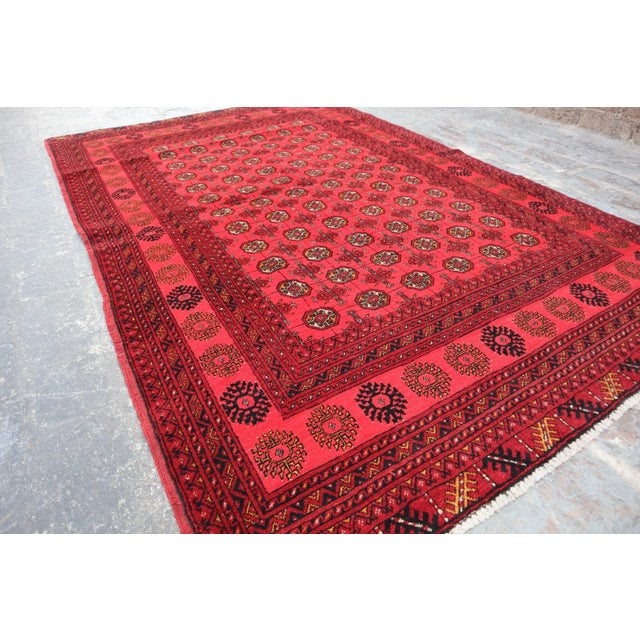 Islamic Hand Knotted Vintage Afghan Kunduzi Rug For Sale - Image 3 of 6