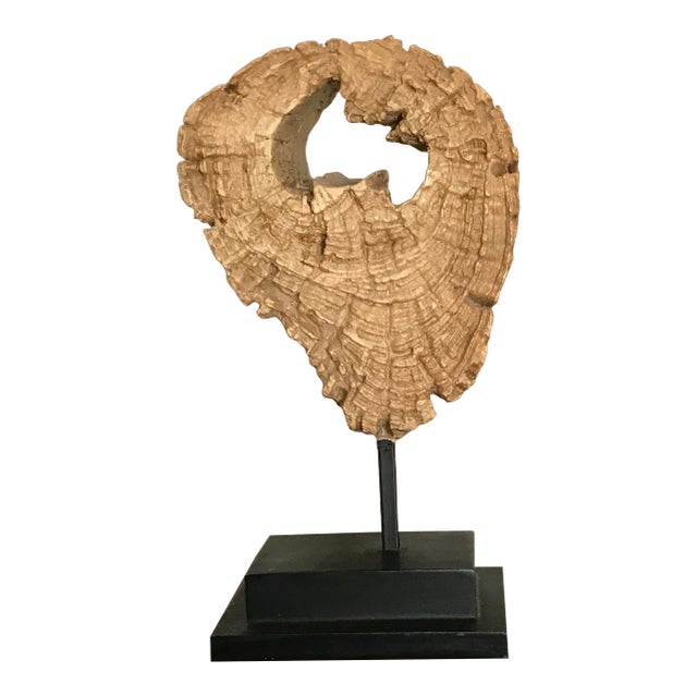 Organic Wood Slice on Stand With Black Metal Base For Sale
