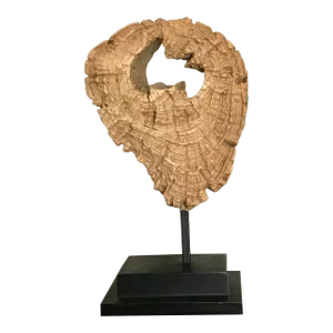 Organic Wood Slice on Stand With Black Metal Base