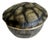 Lidded Porcelain Tortoise Shell Catchall by l'Objet For Sale