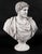 Antique 20th Century Marble Busts of Emperors Lucius Verus & Antoninus Pius, Set of 2 For Sale - Image 5 of 18