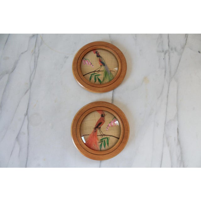 Vintage feather art bird wall hangings with hand painted foliage and convex glass. No makers mark.