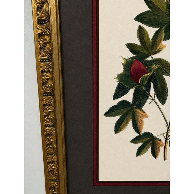 Vintage Framed "Jenna's Flowers Ii" Botanical Print by Decorative Arts, Inc. For Sale In Baton Rouge - Image 6 of 12