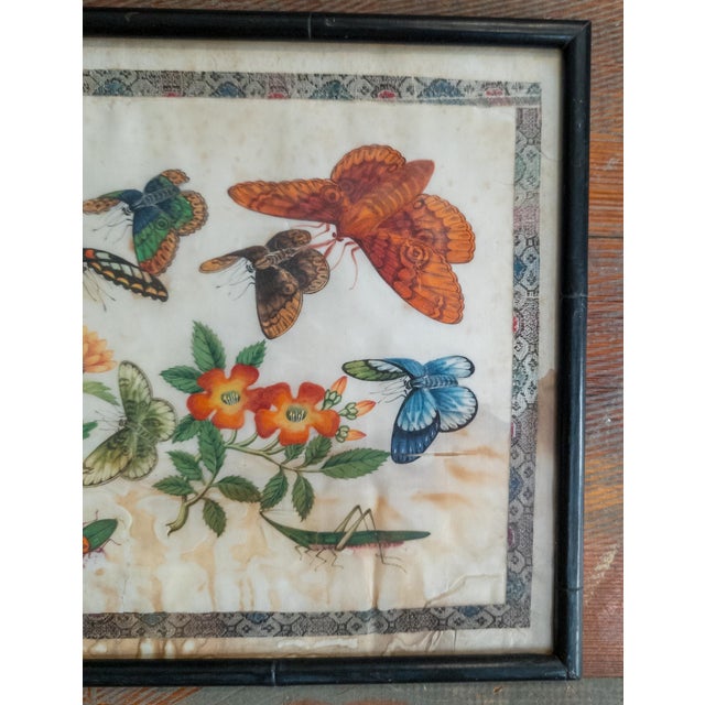 Late 19th Century 19th Century Chinese Export Watercolor Rice Paper Painting With Butterfly and Moths For Sale - Image 5 of 11