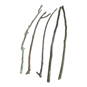 Garouste & Bonetti Cast Bronze Twigs Circa 80s' - Set of 5