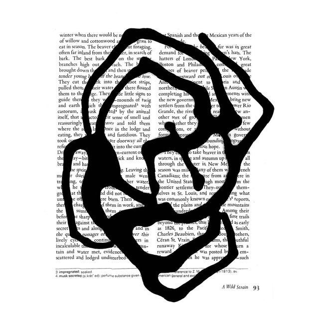 Black & White Abstractions Series' (2) - Framed Gallery Wall Art Prints Installation by Diane Grant - Set of 15 For Sale - Image 15 of 18