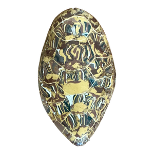Vintage Italian Scagliola Gilt Tipped Pigmented Plaster Turtle Shell