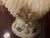 Glass 1900 Rare Northwood Argonaut Shell Custard Glass Covered Sugar Bowl Gilt Accents For Sale - Image 7 of 15