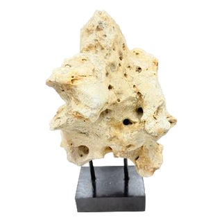 Indonesian Coral Stone On Teak Stand For Sale