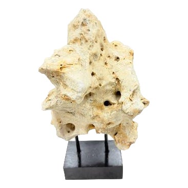 Indonesian Coral Stone On Teak Stand For Sale