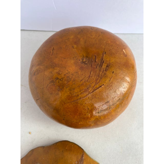 Embellished Natural Gourd Box For Sale - Image 9 of 10