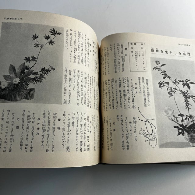 Mid-Century Japanese Ikebana and House Plants Book For Sale In New York - Image 6 of 13
