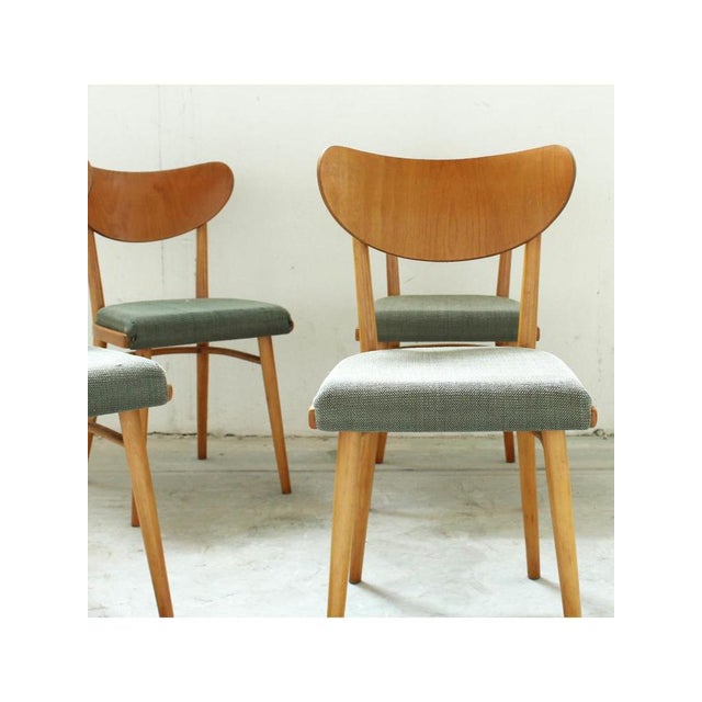 Typology Sage green upholstered chairs (set of 4) Date 1960 Model Dining chairs Origin Czech Republic Designer Banana...