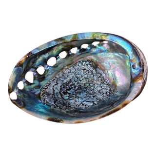 Large Vintage Natural Abalone Shell – Iridescent Mother-of-Pearl – 1980s For Sale