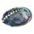 Large Vintage Natural Abalone Shell – Iridescent Mother-of-Pearl – 1980s For Sale