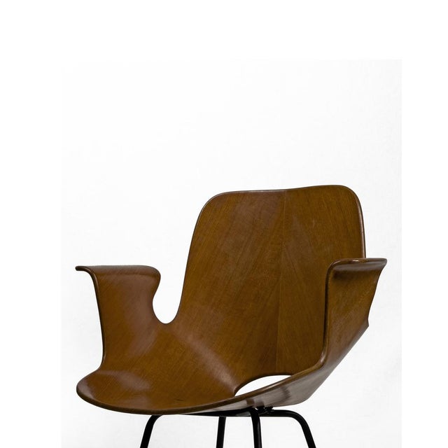 Vintage Bentwood Medea Chair by Vittorio Nobili for Fratelli Tagliabue, Italy, 1950s For Sale - Image 6 of 10