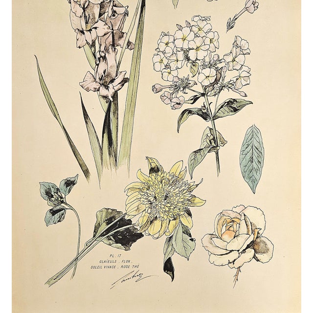 Art Nouveau 1880s Large Rare French Antique Hand-Colored Botanical Lithograph by Henri Lambrt-Gladiolus, Flox, Tea Rose For Sale - Image 3 of 3