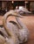 Metal Pair of Mid-Century French Cast Metal Swan Garden Planters With Patina and Gilt For Sale - Image 7 of 10