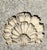 This striking vintage concrete wall plaque features a beautifully sculpted scalloped shell motif, emblematic of mid-20th...