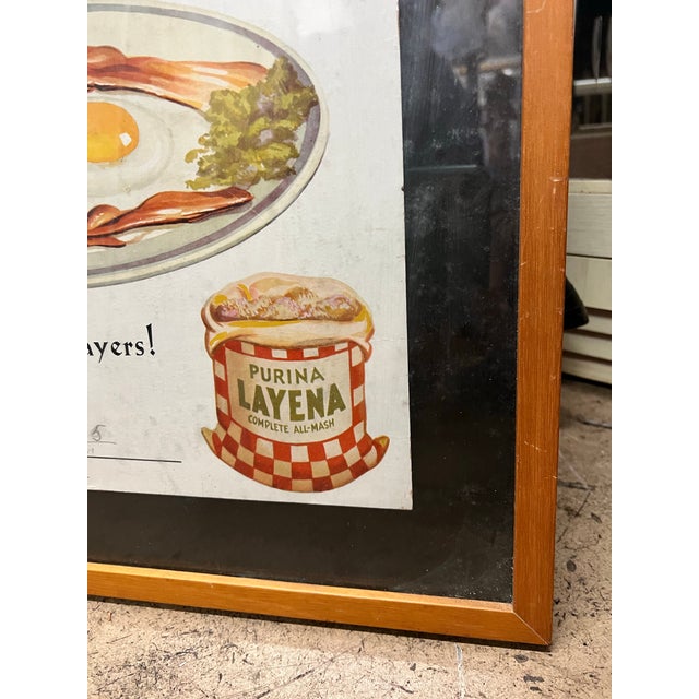 Vintage 1930s Egg Breakfast & Purina Layena Chicken Feed Advertisement Framed For Sale In West Palm - Image 6 of 7