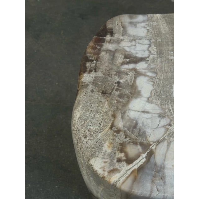 Petrified Stool - Single For Sale - Image 13 of 17