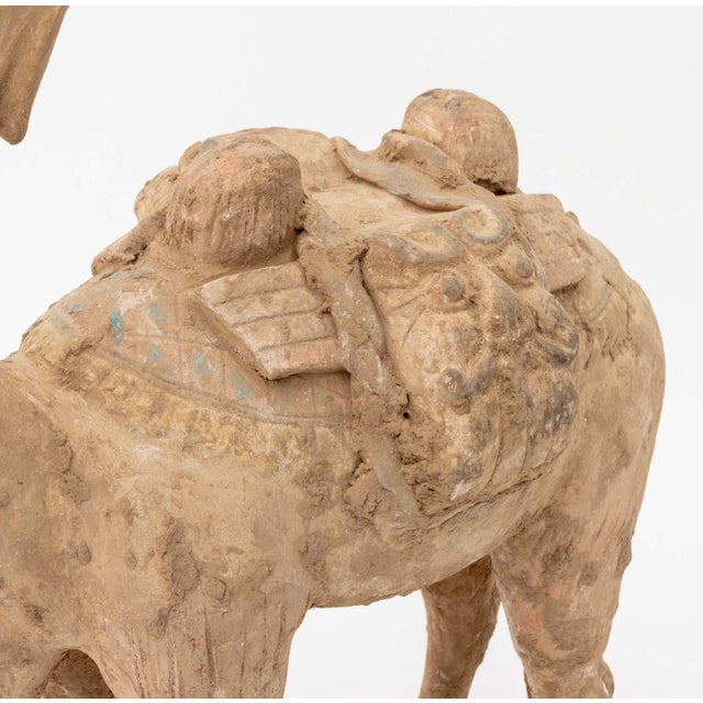 Chinese Tang Style Standing Camel Pottery Sculpture For Sale In New York - Image 6 of 11