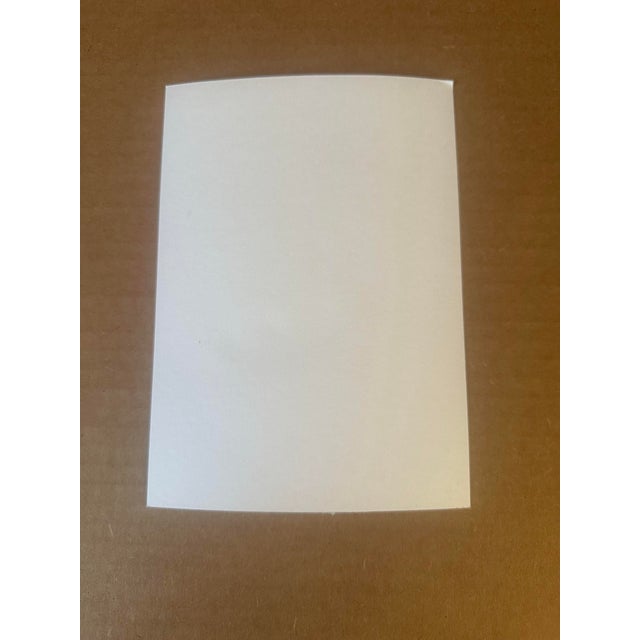 Realism “Avacado Study” Original Still Life by Nancy Smith For Sale - Image 3 of 3