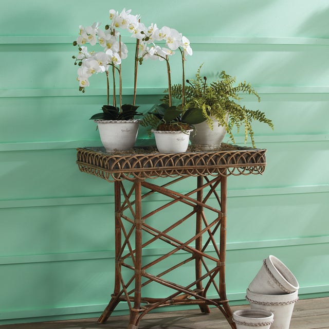 Early 21st Century Boston Fern Drop-In 16" For Sale - Image 5 of 6